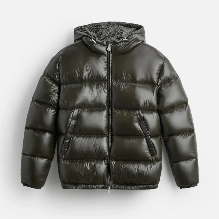 Louis | Men’s Modern Shiny Hooded Puffer Jacket